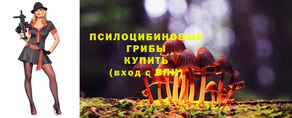 spice Осинники
