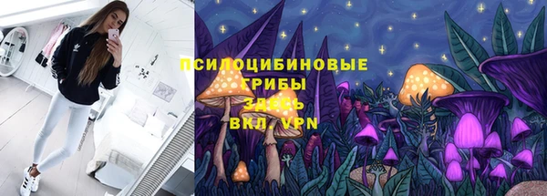 ешки Няндома