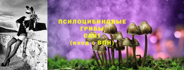 прущий лед Нягань