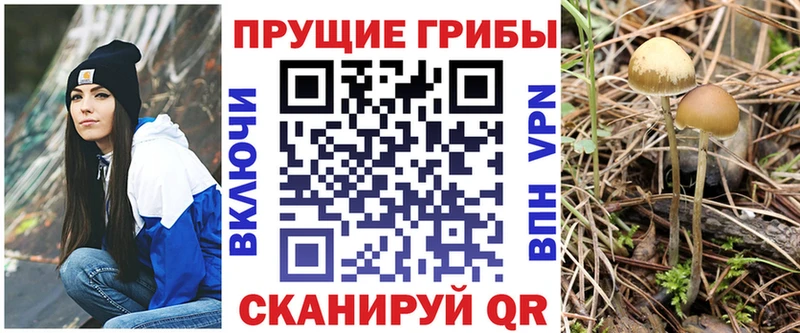 mega ONION  цена   Котельники  Галлюциногенные грибы Magic Shrooms 