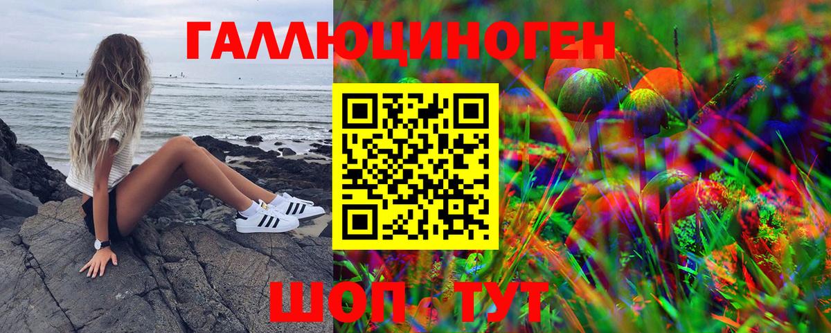 Котельники  Галлюциногенные грибы Magic Shrooms  Вход с VPN 