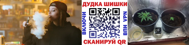как найти наркотики  Котельники  Шишки марихуана THC 21% 